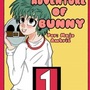 The Adventure Of Bunny