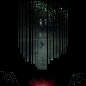 The Stranger Unknown