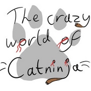 The Crazy World of Catninja
