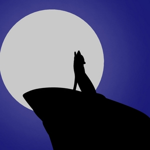 Special: Observation Report 1