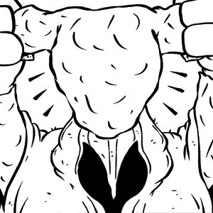 The Hairy Cup, Part 5