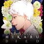 The Summer Hikaru Died