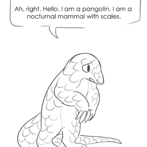 The Pangolin's Audition