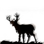 Buck