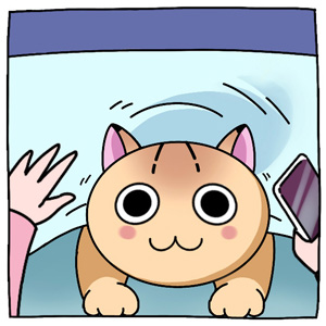 Stories of June 2025