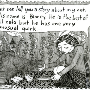 A Little Story About a Cat Named Binney