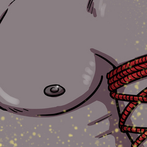 Sightseeing in Treviso