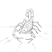 Escorpi&otilde;es do Deserto (beta)