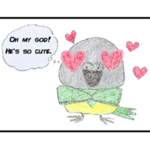 The Crush