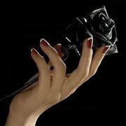 Bruised By The Hands Of My Lover