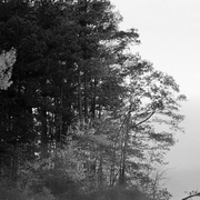 Thoughts &amp; Feelings