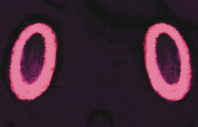 custom banner