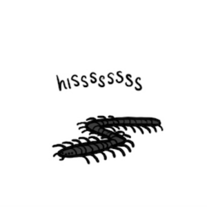 Bug