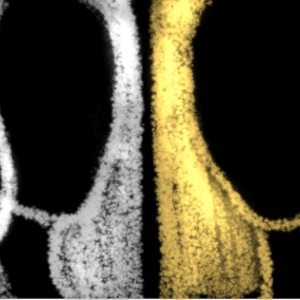 The Darkness Yearns for Love