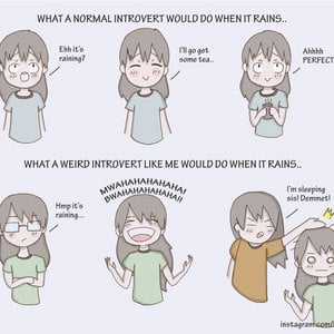 Rain and Introverts