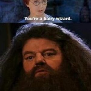 Episode 1: The hunt for UN pt.1