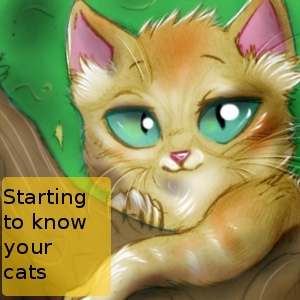 Starting to know your cats