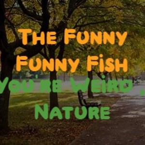 The Funny Funny Fish: You're Weird, Nature  