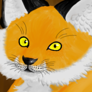 Fluffy fox 