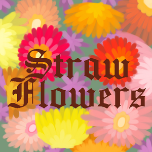 Straw Flowers