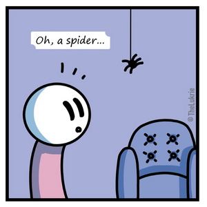 Spider