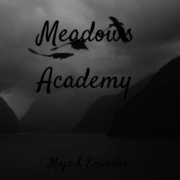 Meadows Academy