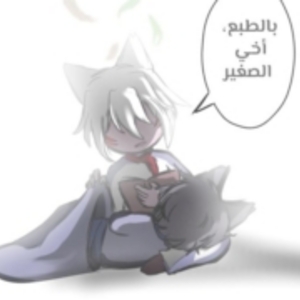 الفصل السادس 1/2