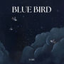 BLUE BIRD