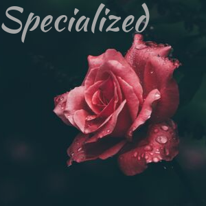 Specialized (pt.1)