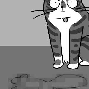 Present Of The Day - TC (Buckinghamshire, UK)