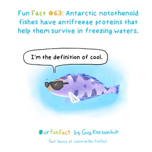 ice cold.