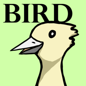 Meet Bird [PART 1]