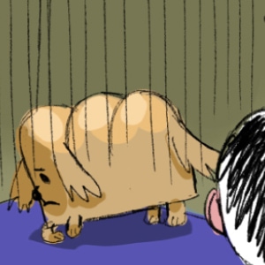 Breaddog sad P1 