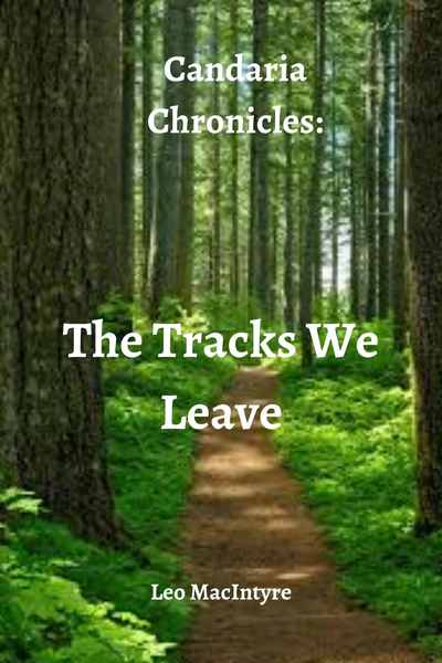 The Tracks We Leave