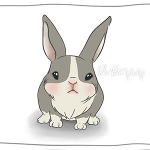 10 - Sh*t Pet Owners Do