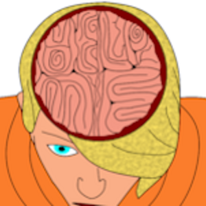 Chapter 11: What's In your Head?