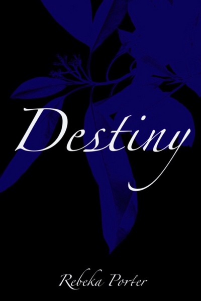 Destiny (stand-alone in the Adopted series by Rebeka Porter)