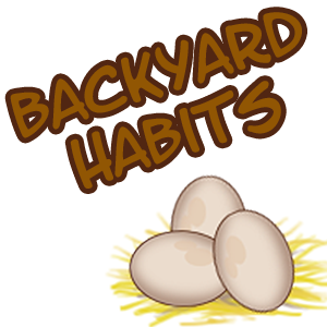 Backyard Habits: Drawing A Hen