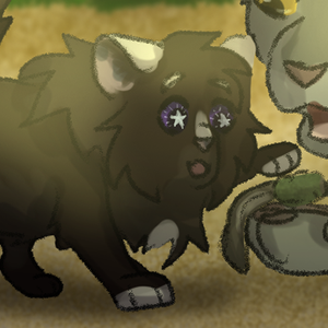 Dream For Me | Dream | 2