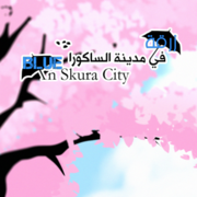 زرقة في مدينة الساكورا