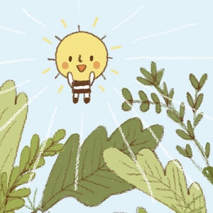 5 : Love from Sunchild