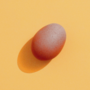 Life of an Egg
