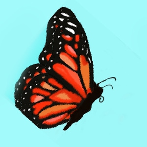 Monarch_butterflies Symbolism