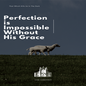 Perfection Is Impossible Without His Grace