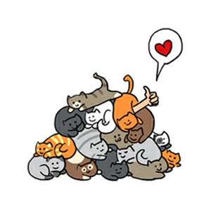 Happiness is cats