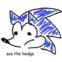 Sus The Hedge