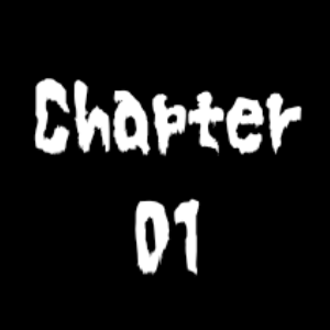 Chapter 01-Entry 1