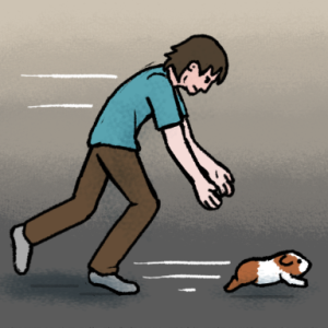 Cucumber Cacophony - Page 2