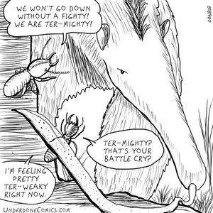 Termitey or Terweaky?