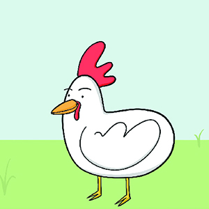 Life Of A Chicken In India